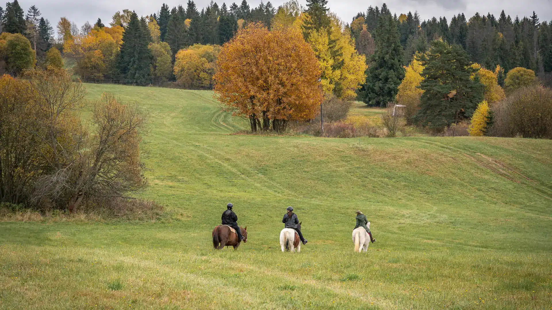 pre koho je jazda na koni