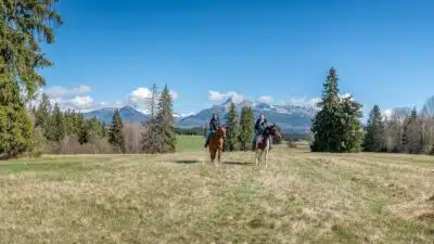 jarné vychádzky na koňoch
